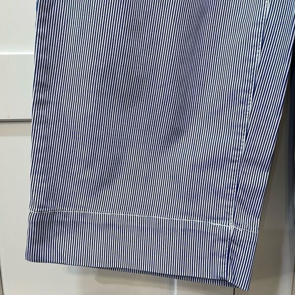 Talbots Blue Striped Pants - Picture 6 of 8